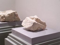 Museo de Arte Iberico el Cigarralejo 2008